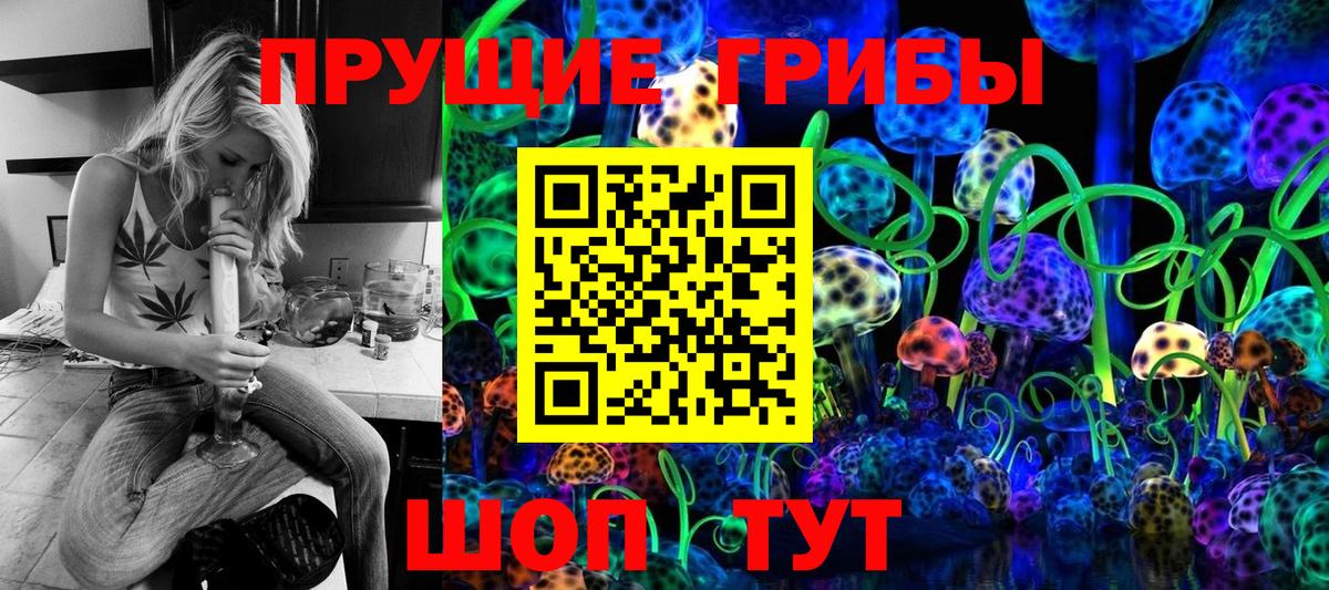 Камышин  Галлюциногенные грибы прущие грибы  Галлюциногенные грибы прущие грибы  Вход с VPN 
